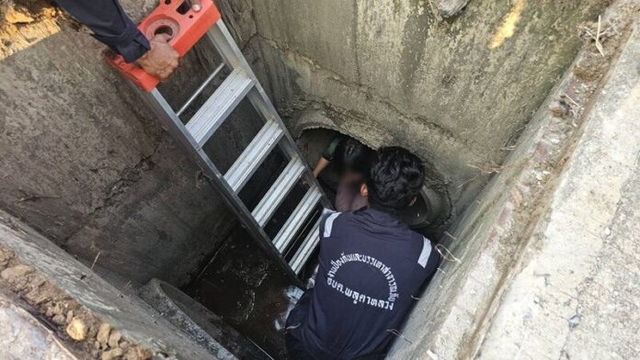 Nghe thấy tiếng kêu dưới cống thoát nước, người dân chạy đến nơi chứng kiến cảnh tượng không ngờ - Ảnh 2. Nghe thấy tiếng kêu dưới cống thoát nước, người dân chạy đến nơi chứng kiến cảnh tượng không ngờ - Ảnh 2.