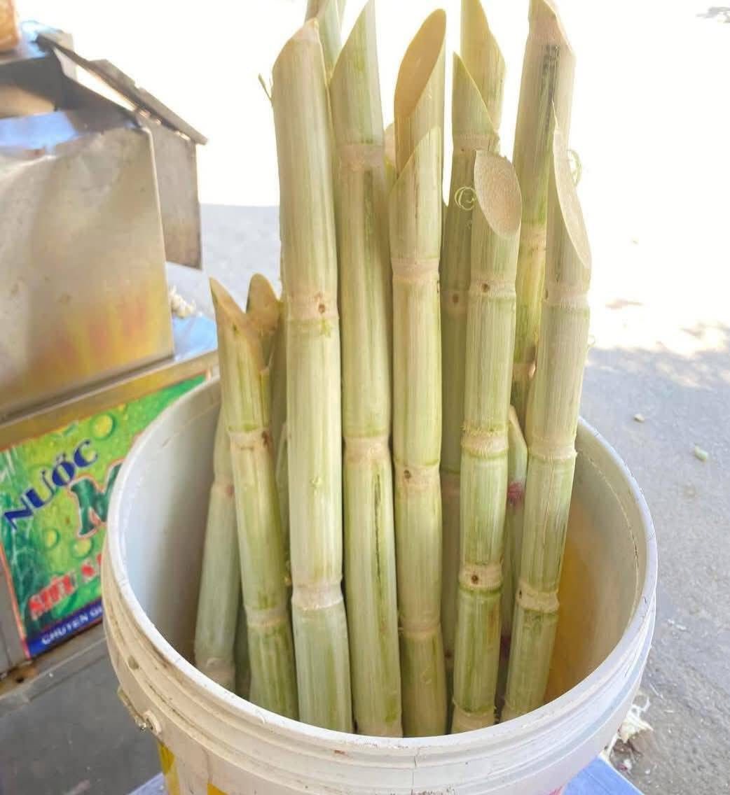 Mùa nắng nóng nước mía giá rẻ bán chạy, tiểu thương chỉ cách nhận biết hàng chuẩn