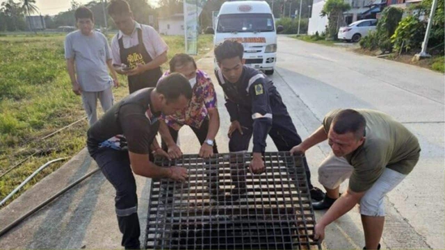 Nghe thấy tiếng kêu dưới cống thoát nước, người dân chạy đến nơi chứng kiến cảnh tượng không ngờ - Ảnh 1. Nghe thấy tiếng kêu dưới cống thoát nước, người dân chạy đến nơi chứng kiến cảnh tượng không ngờ - Ảnh 1.