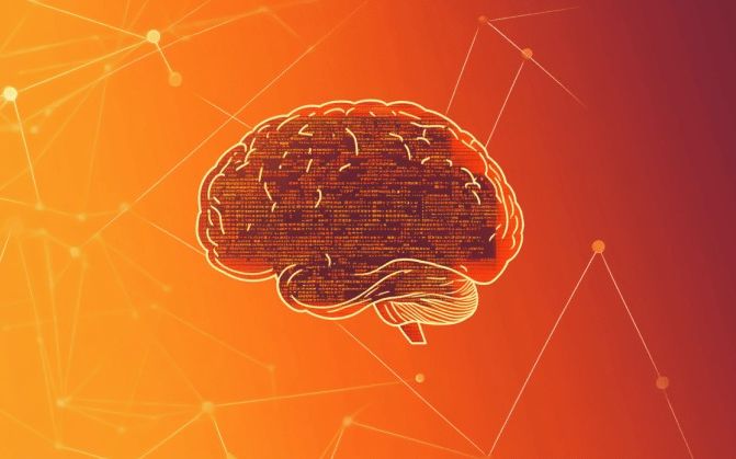 nuneybits-vector-art-of-brain-co-25584818141347890019254-66222812866491150974329-1746491381039-1746491381215429432947.jpg