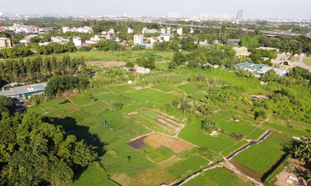 Những quy định cần biết về thực hiện thừa kế đất đai 2025- Ảnh 1.