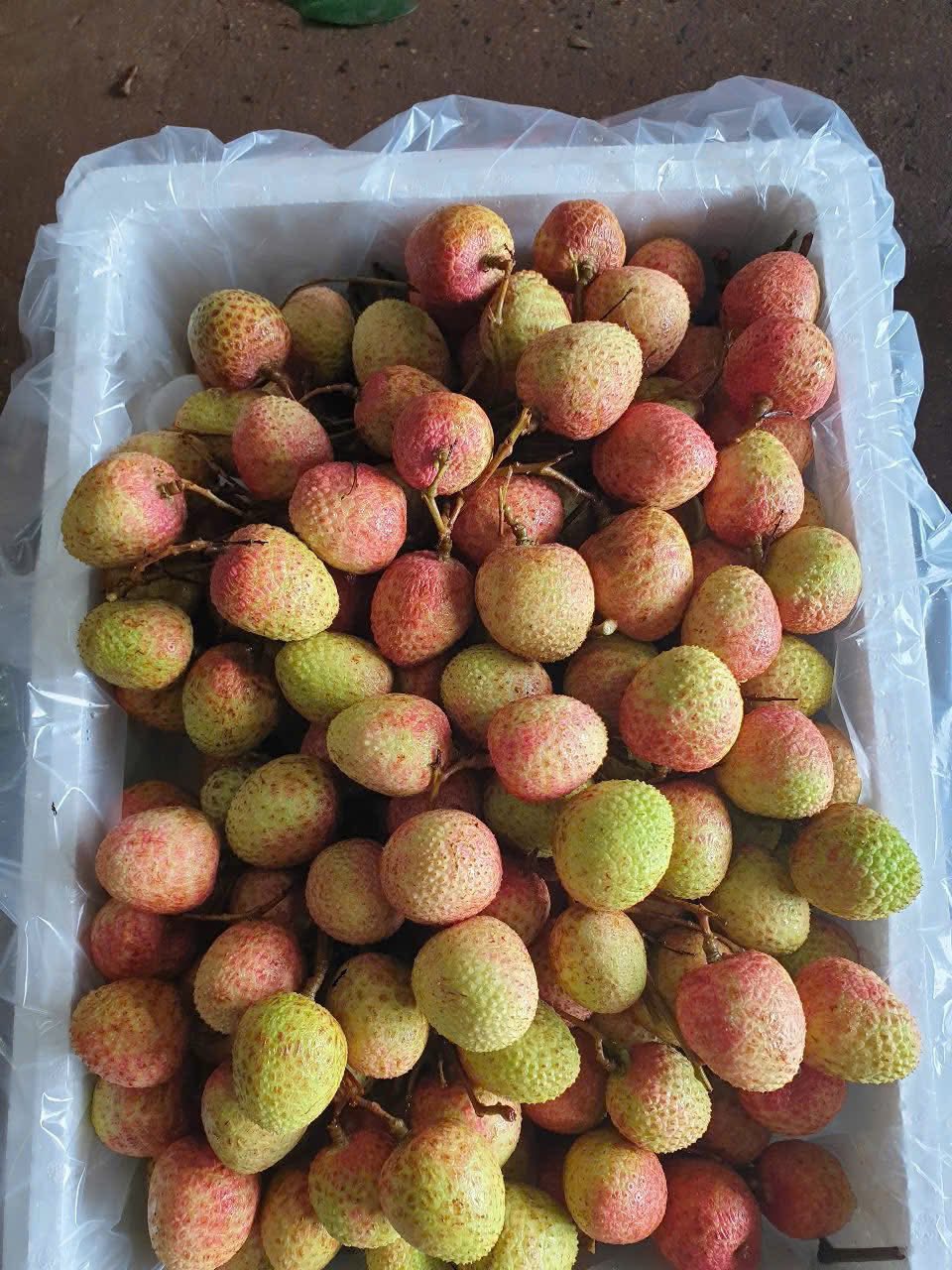 Vải u hồng đầu mùa giá đắt hơn sầu riêng, tiểu thương nhập hàng không đủ để bán- Ảnh 7.