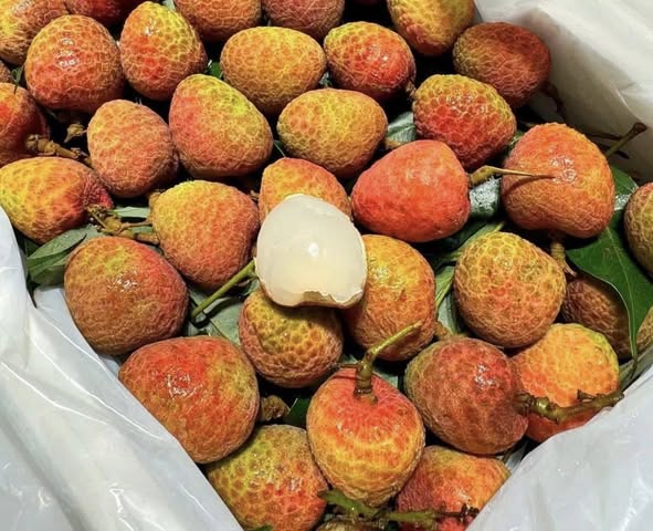 Vải u hồng đầu mùa giá đắt hơn sầu riêng, tiểu thương nhập hàng không đủ để bán- Ảnh 3. Vải u hồng đầu mùa giá đắt hơn sầu riêng, tiểu thương nhập hàng không đủ để bán- Ảnh 3.