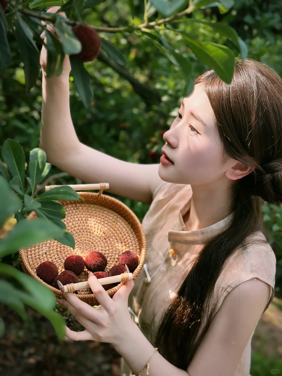 Mùa thanh mai chín rộ: Thứ quả chua ngọt đẹp như mơ, ăn ngon lại tốt cho sức khỏe- Ảnh 6. Mùa thanh mai chín rộ: Thứ quả chua ngọt đẹp như mơ, ăn ngon lại tốt cho sức khỏe- Ảnh 6.