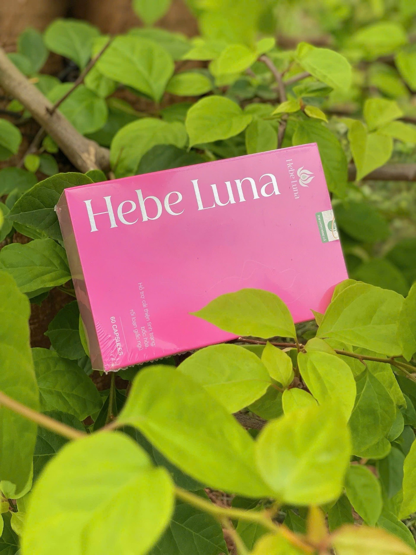 Phụ nữ tiền mãn kinh và những biến chuyển âm thầm đe dọa hạnh phúc hôn nhân- Ảnh 1.