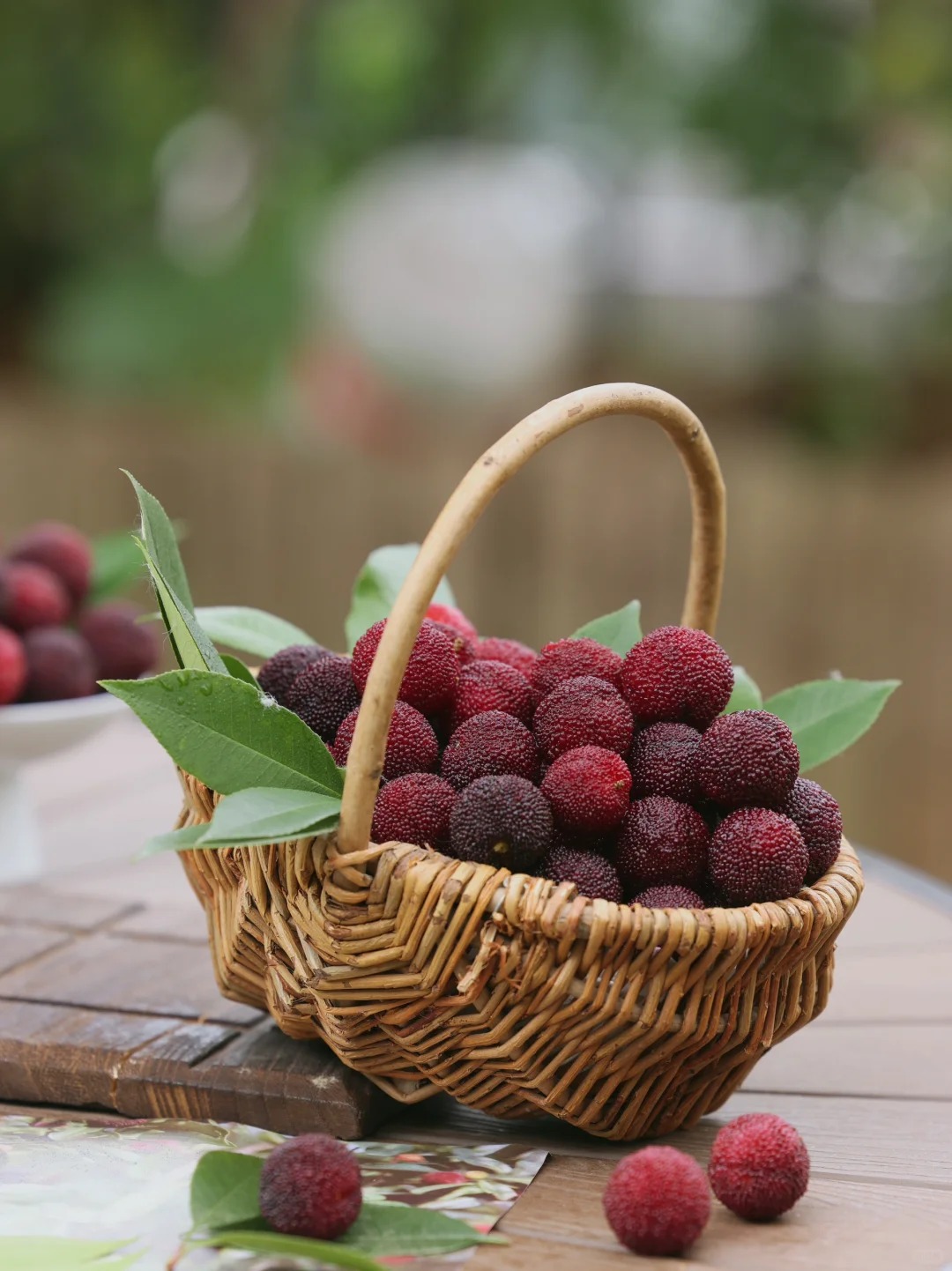 Mùa thanh mai chín rộ: Thứ quả chua ngọt đẹp như mơ, ăn ngon lại tốt cho sức khỏe- Ảnh 9. Mùa thanh mai chín rộ: Thứ quả chua ngọt đẹp như mơ, ăn ngon lại tốt cho sức khỏe- Ảnh 9.