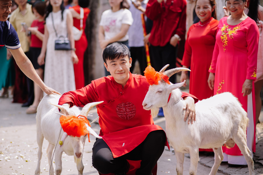 Chú rể dắt 2 con dê đi đón vợ, phía sau là chuyện hài hước - Ảnh 2. Chú rể dắt 2 con dê đi đón vợ, phía sau là chuyện hài hước - Ảnh 2.