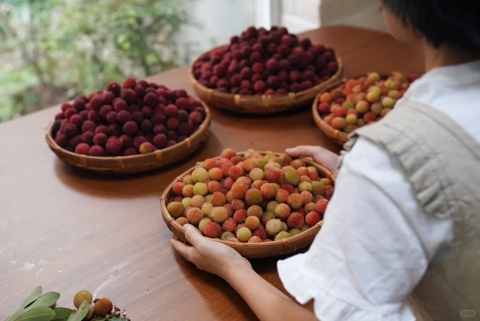 Mùa thanh mai chín rộ: Thứ quả chua ngọt đẹp như mơ, ăn ngon lại tốt cho sức khỏe- Ảnh 20. Mùa thanh mai chín rộ: Thứ quả chua ngọt đẹp như mơ, ăn ngon lại tốt cho sức khỏe- Ảnh 20.
