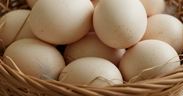 Người mắc bệnh tim c&oacute; n&ecirc;n ăn trứng?