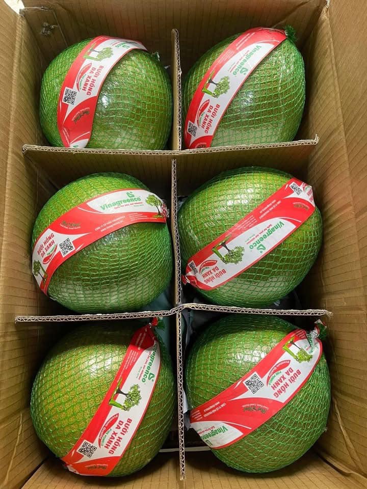 Loại quả Việt xuất khẩu tỷ USD, được ví là thuốc bổ bán đầy thị trường giá hơn chục nghìn/quả - Ảnh 7.