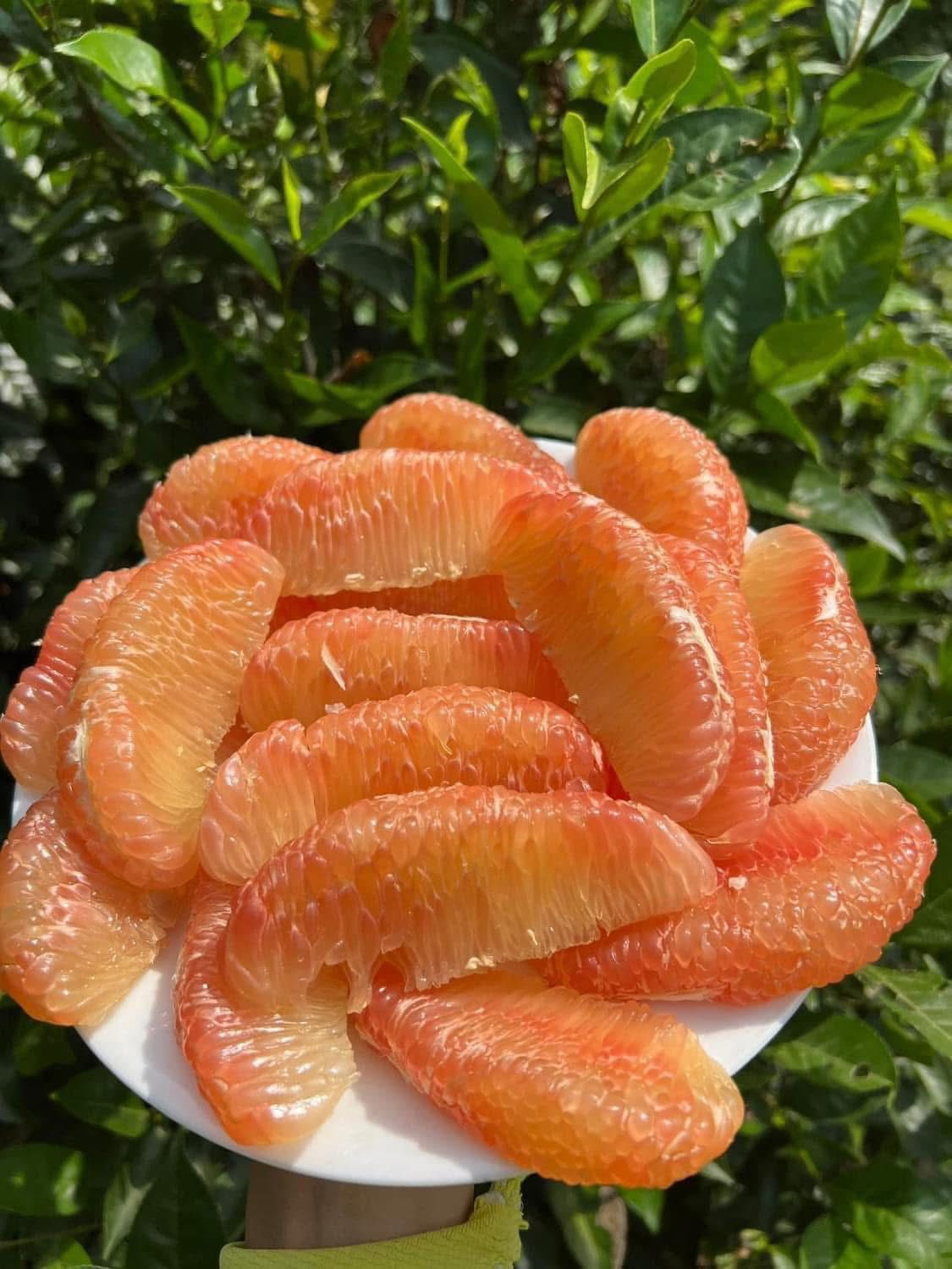 Loại quả Việt xuất khẩu tỷ USD, được ví là thuốc bổ bán đầy thị trường giá hơn chục nghìn/quả - Ảnh 10.