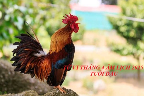 Con giáp tuổi Dậu đón nhiều tin vui, lộc đổ về sầm sập trong tháng 5- Ảnh 3. Con giáp tuổi Dậu đón nhiều tin vui, lộc đổ về sầm sập trong tháng 5- Ảnh 3.