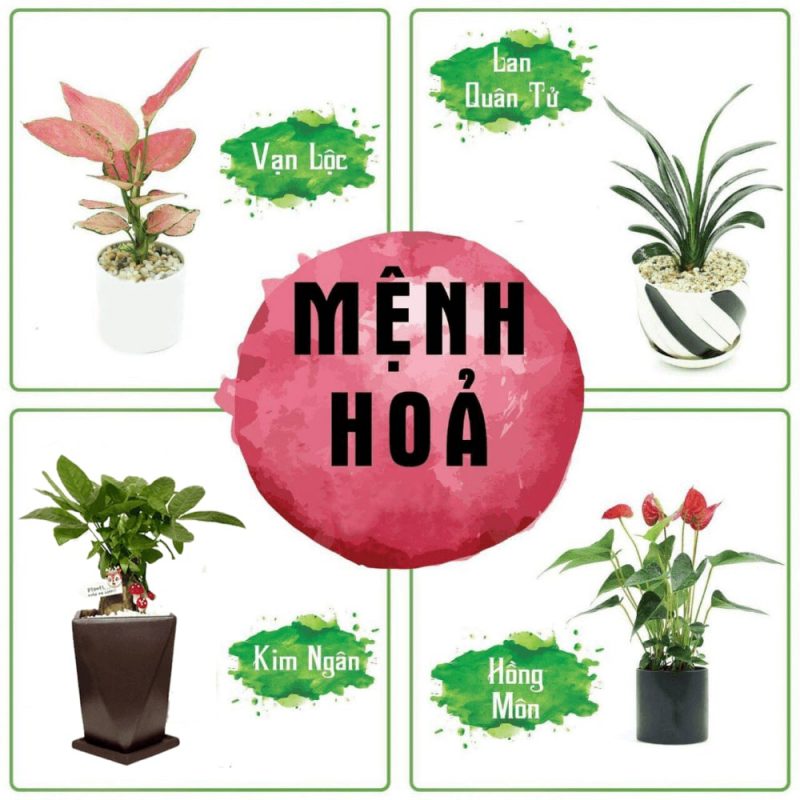 Top vật phẩm phong thủy đặt bàn làm việc cho người mệnh Hỏa giúp thăng tiến - Ảnh 5.