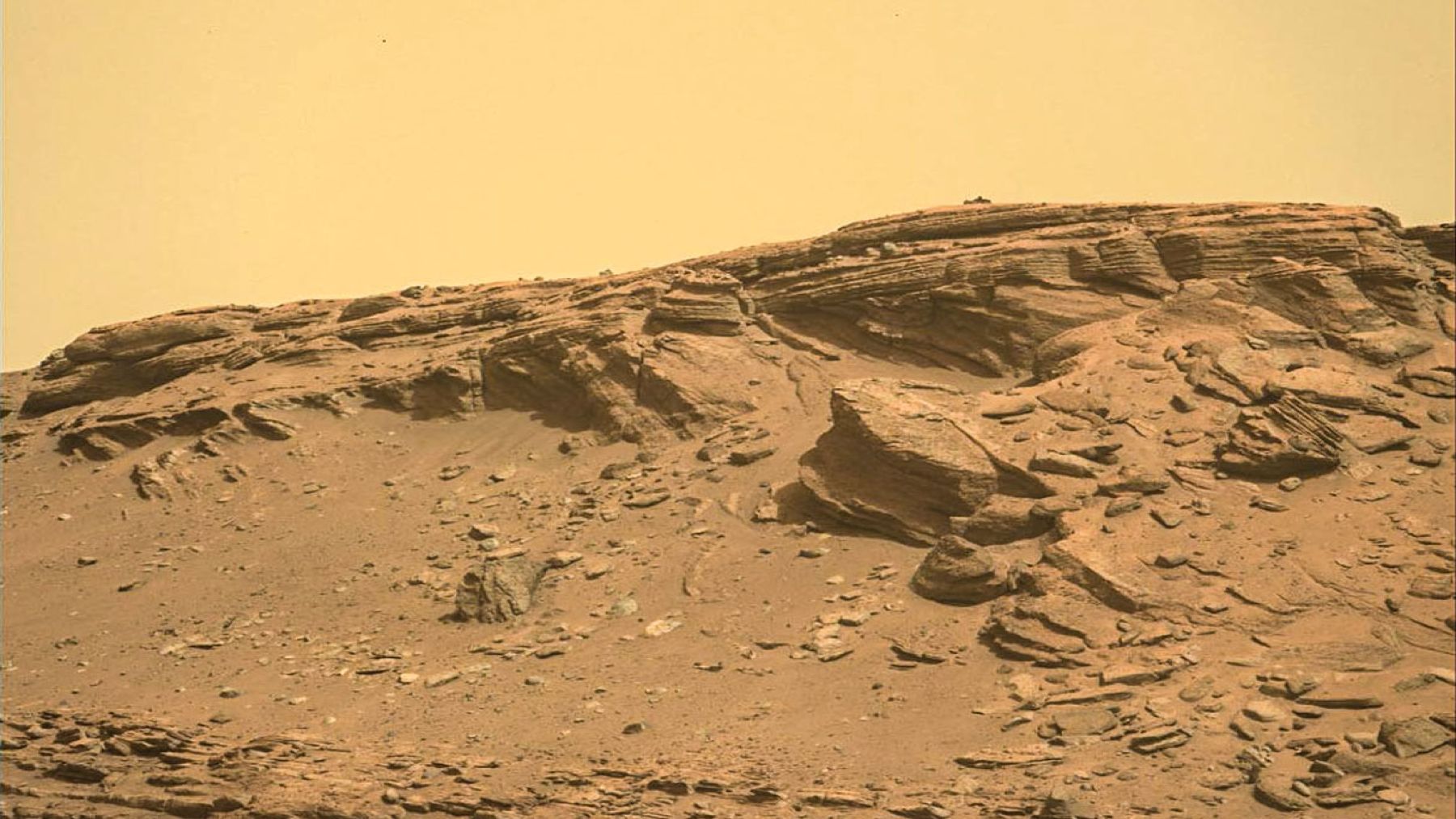 20220429-nib-mars-1-25671725710194985614625-1748821037758-17488210381241620793869.jpg