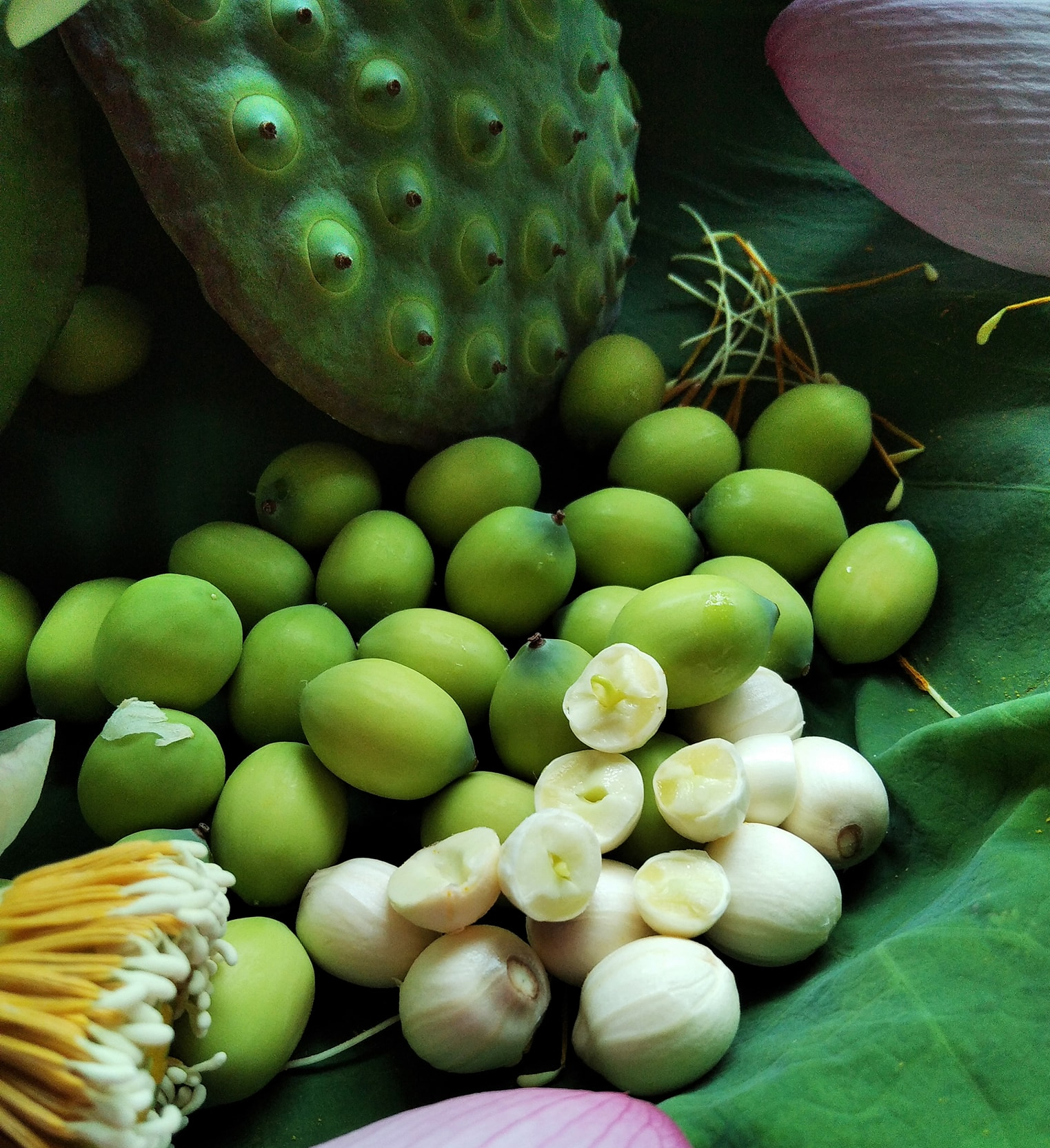 6 món ngon dễ làm từ hạt sen đang chính vụ giúp thanh nhiệt, mát gan, cải thiện mất ngủ ngày hè tốt cho cả nhà - Ảnh 3.