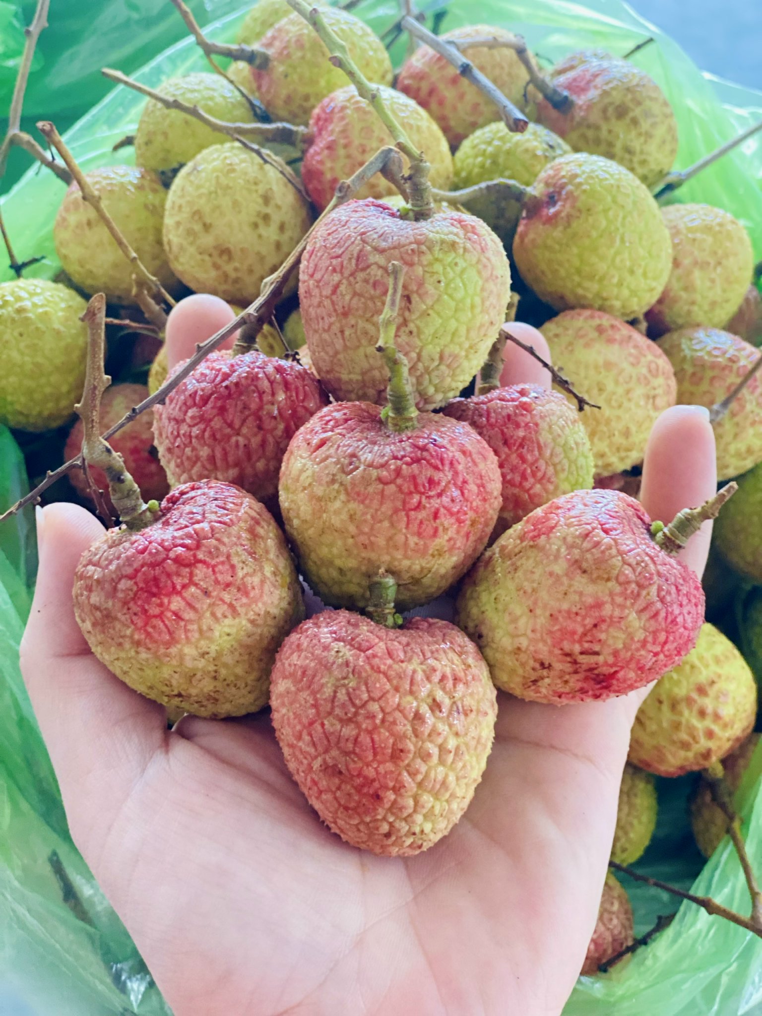 Tiểu thương lý giải nguyên nhân vải u trứng trắng Hải Dương thành mặt hàng ‘hot’ tại thị trường trái cây Việt - Ảnh 10.