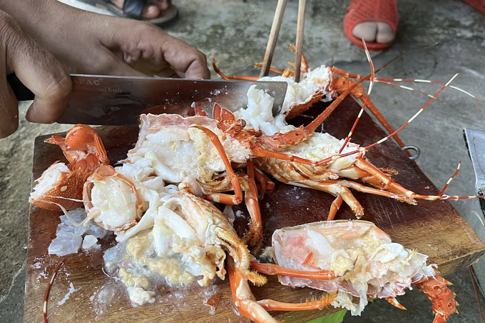 Bơm thạch rau câu 'biến' tôm hùm chết thành tươi, người nội trợ làm cách nào nhận biết đúng tôm hùm tươi?- Ảnh 1. Bơm thạch rau câu 'biến' tôm hùm chết thành tươi, người nội trợ làm cách nào nhận biết đúng tôm hùm tươi?- Ảnh 1.