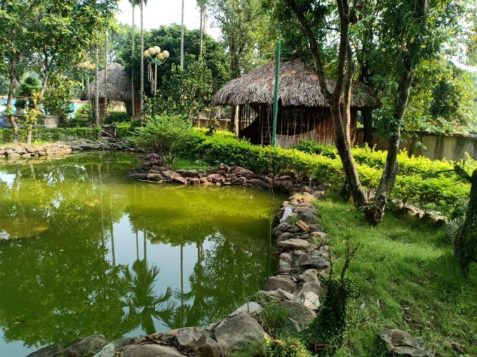 Đây là lý do trước nhà không nên có ao nước- Ảnh 3.