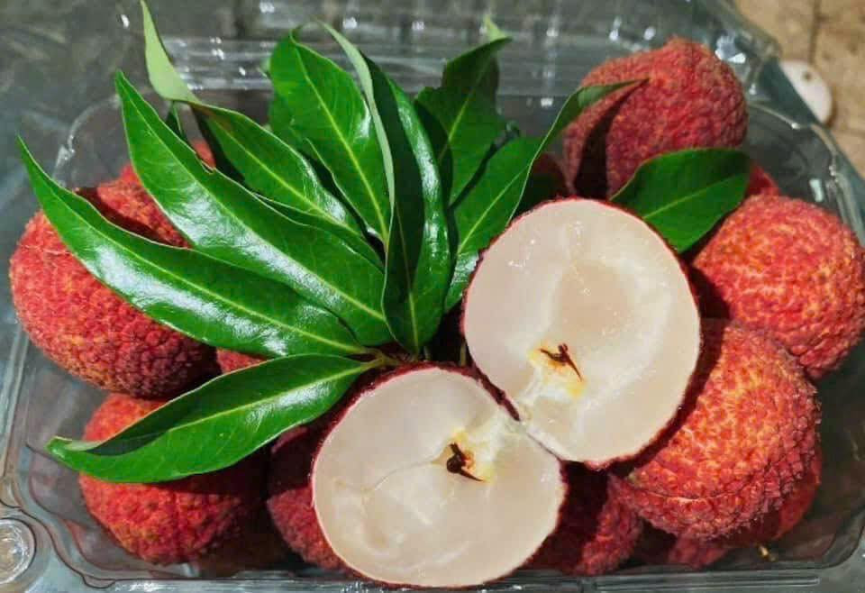 Vải thiều Trung Quốc đổ bộ chợ Việt, giá 700.000 đồng/kg - Ảnh 2. Vải thiều Trung Quốc đổ bộ chợ Việt, giá 700.000 đồng/kg - Ảnh 2.