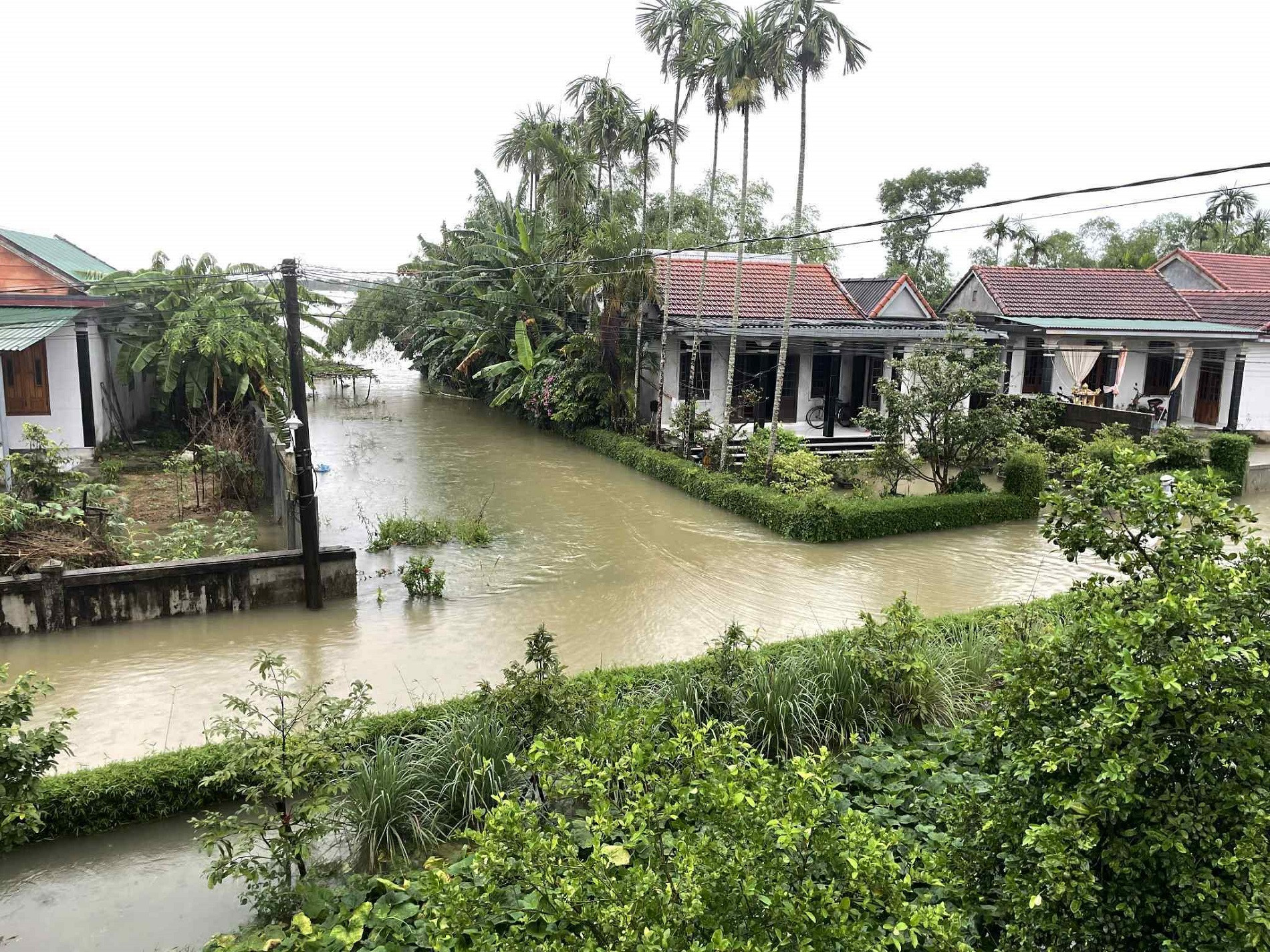 TP Huế: Lũ cuốn làm 2 anh em ruột đi đánh cá tử vong, ghe chở 6 người bị lật - Ảnh 2. TP Huế: Lũ cuốn làm 2 anh em ruột đi đánh cá tử vong, ghe chở 6 người bị lật - Ảnh 2.