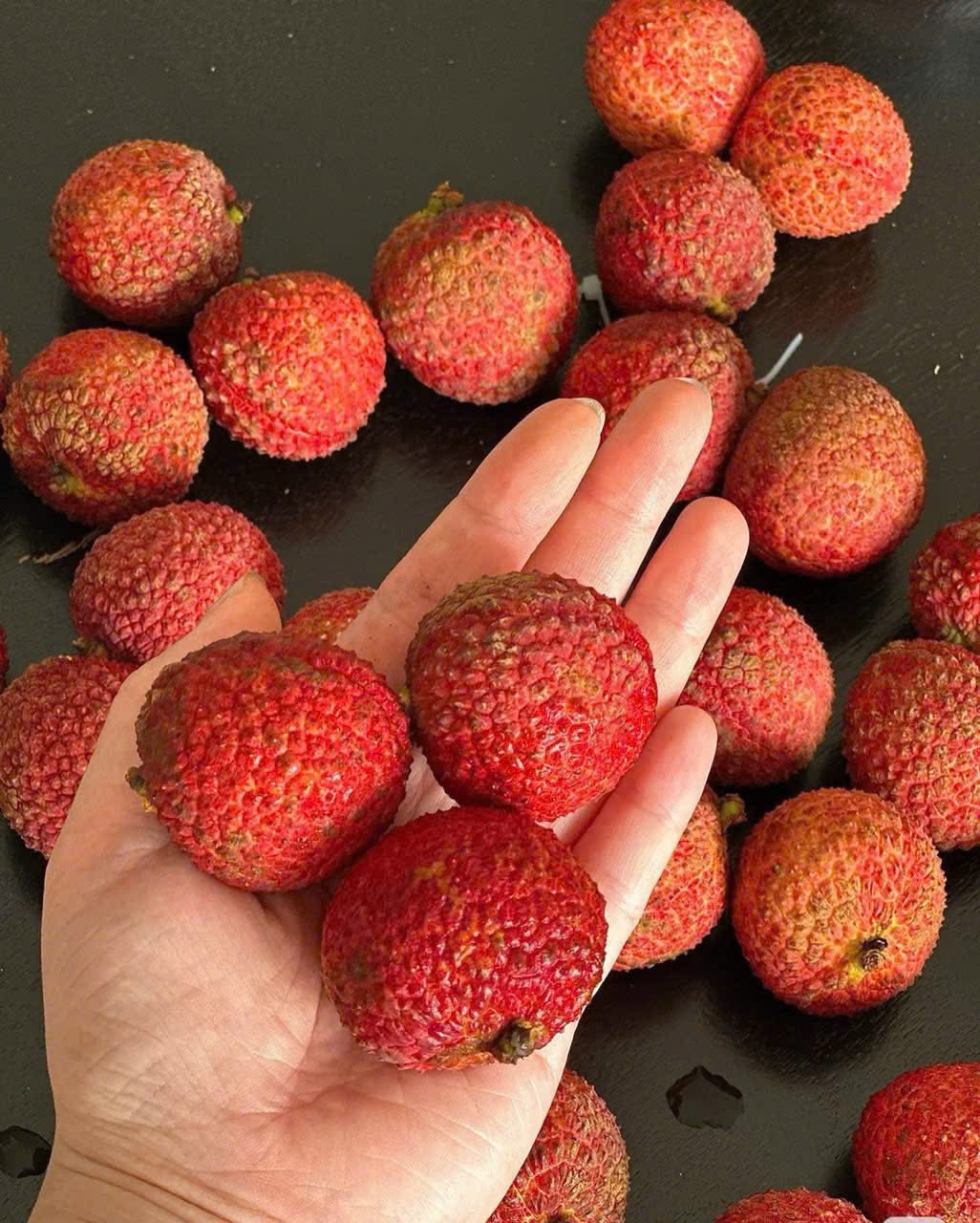 Xuất viện loại vải không hạt giá gần 1 triệu đồng/kg đổ bộ thị trường hoa quả Việt - Ảnh 7.