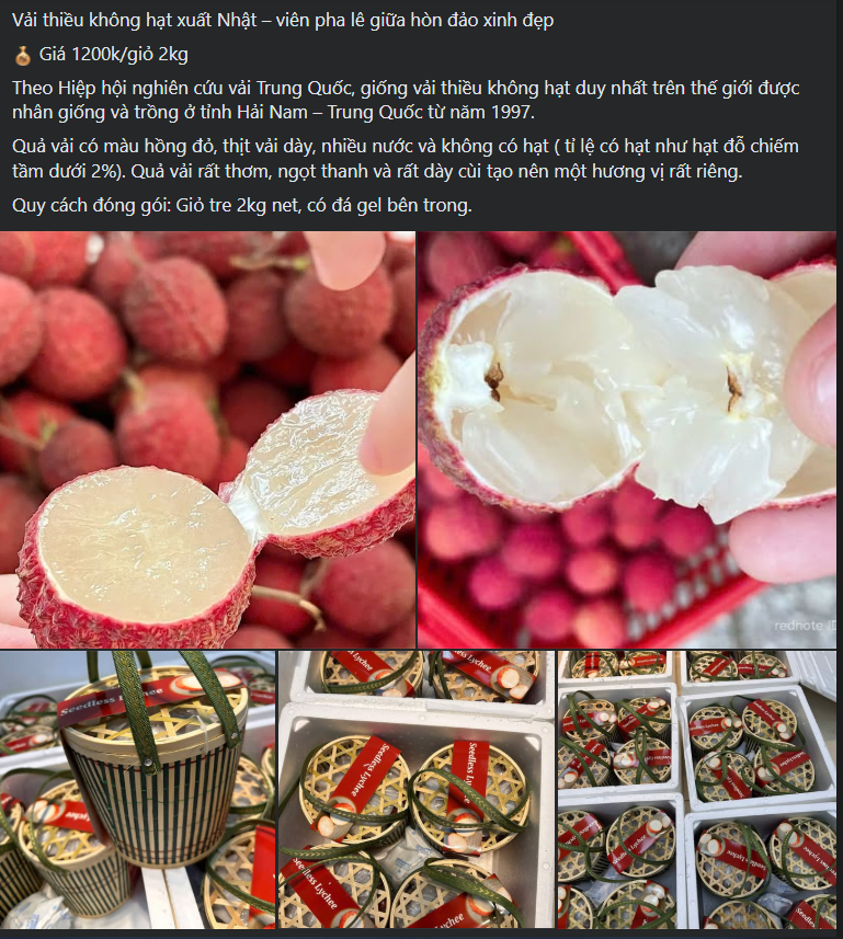 Xuất viện loại vải không hạt giá gần 1 triệu đồng/kg đổ bộ thị trường hoa quả Việt - Ảnh 4.