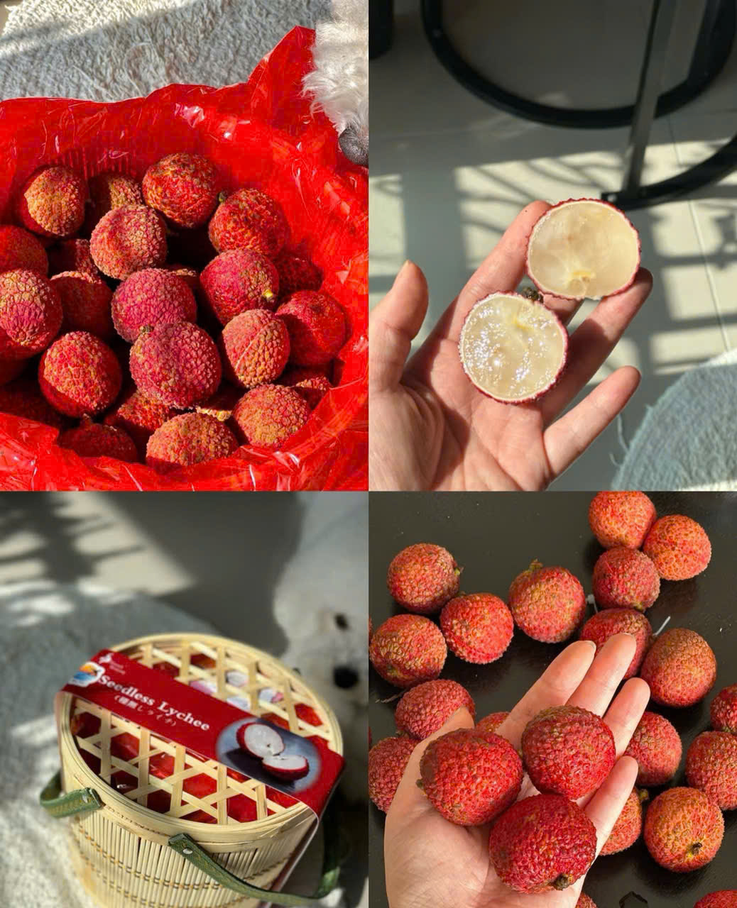 Xuất viện loại vải không hạt giá gần 1 triệu đồng/kg đổ bộ thị trường hoa quả Việt - Ảnh 3.