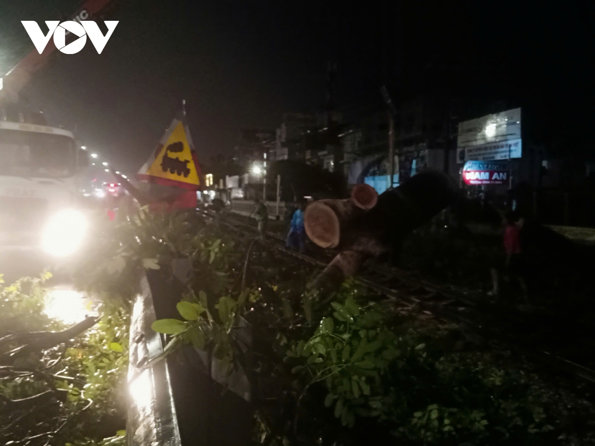 Cây đổ, mái tôn bay trong giông lốc chiều tối 15/6 ở Hà Nội - Ảnh 7. Cây đổ, mái tôn bay trong giông lốc chiều tối 15/6 ở Hà Nội - Ảnh 7.