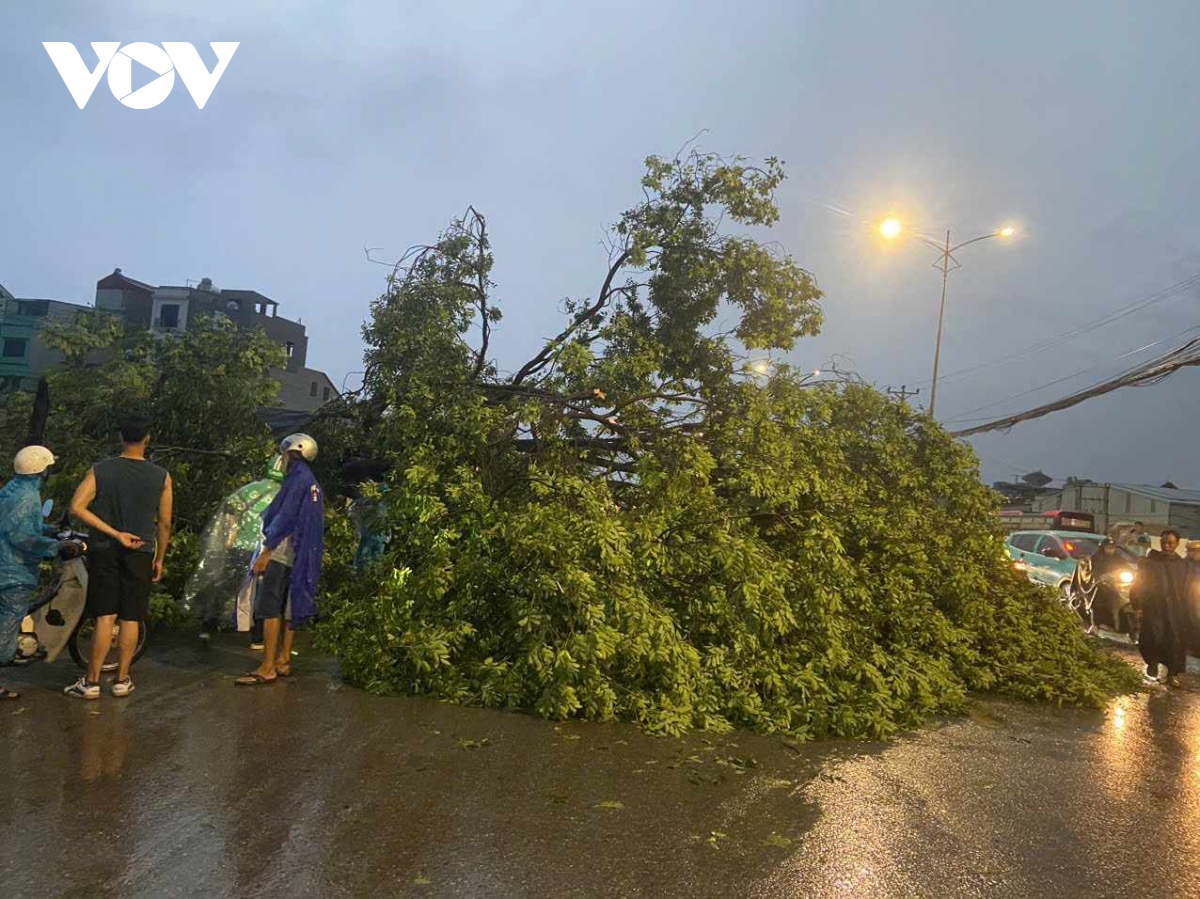 Cây đổ, mái tôn bay trong giông lốc chiều tối 15/6 ở Hà Nội - Ảnh 6. Cây đổ, mái tôn bay trong giông lốc chiều tối 15/6 ở Hà Nội - Ảnh 6.
