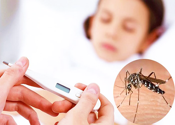 5 lưu ý khi chăm sóc người bệnh sốt xuất huyết tại nhà an toàn và hiệu quả- Ảnh 3. 5 lưu ý khi chăm sóc người bệnh sốt xuất huyết tại nhà an toàn và hiệu quả- Ảnh 3.