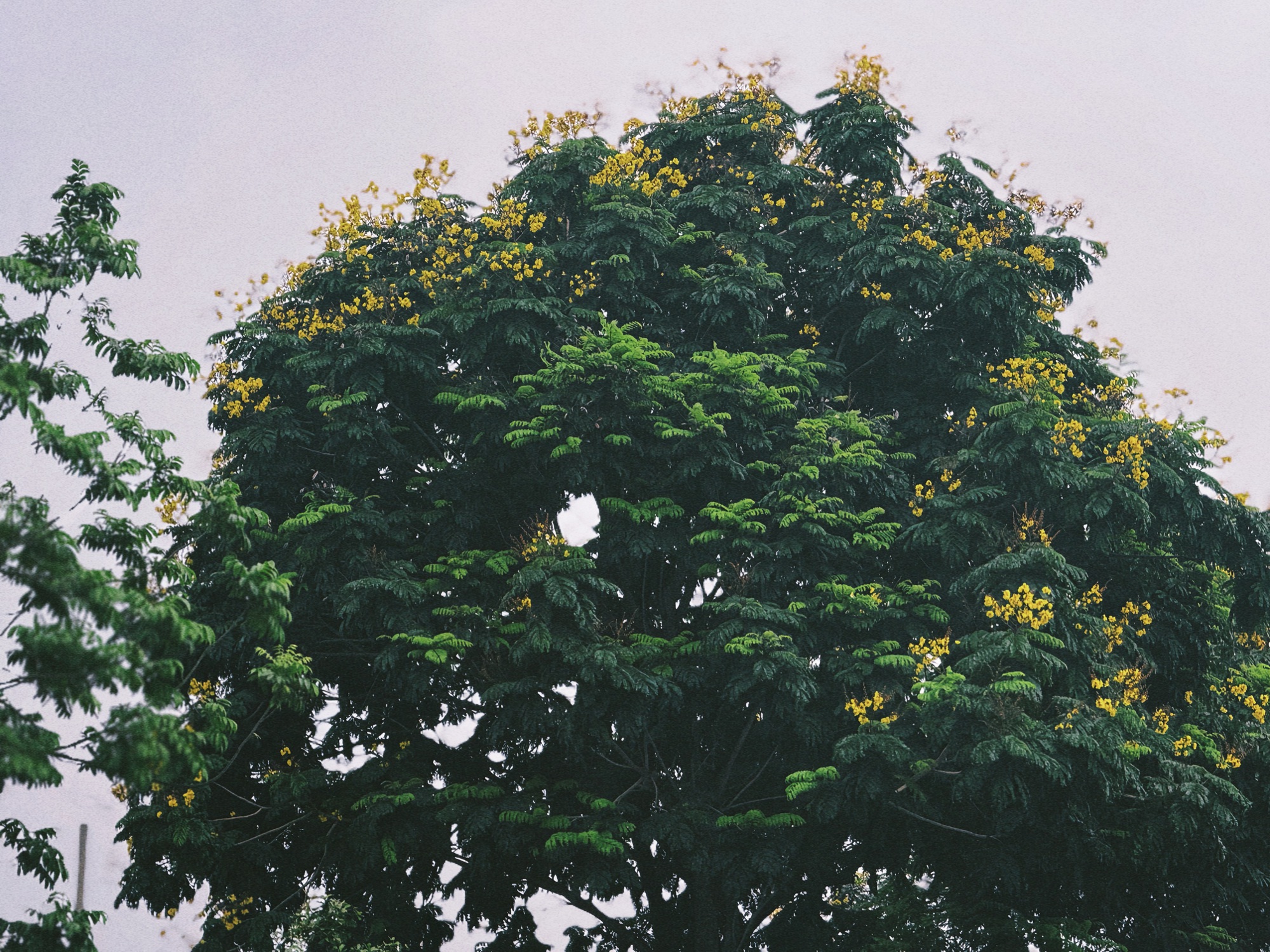 img1234-17500576236511868167494.jpeg