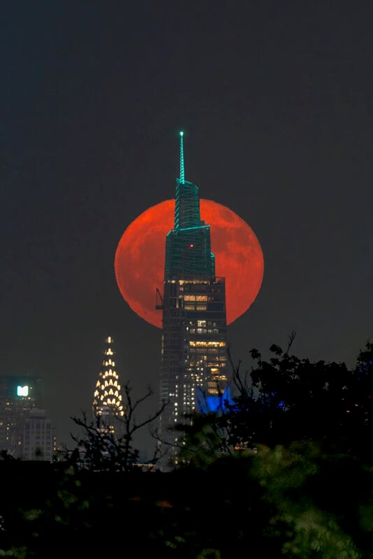 strawberry-moon-one-vanderbilt-center-534x800-17500452646652026106517-1750117549074-1750117549168654619966.jpg
