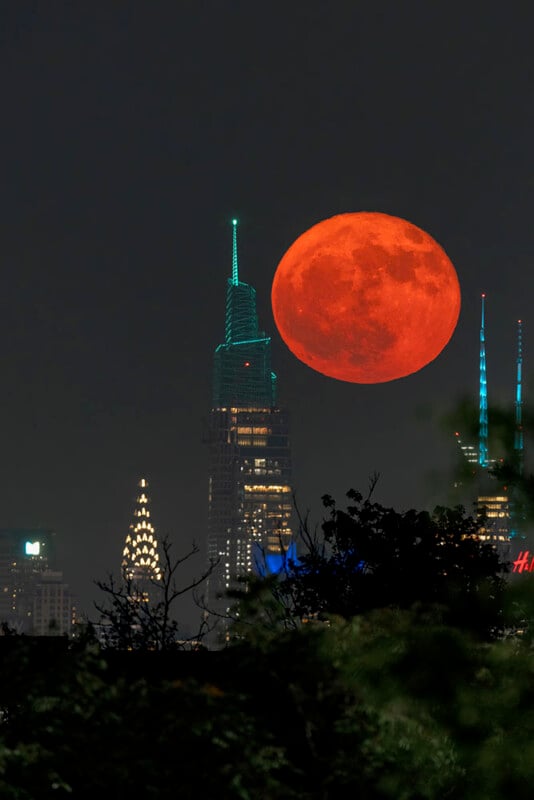 strawberry-moon-one-vanderbilt-right-534x800-1750045264668427536754-1750117549587-17501175497051831233155.jpg