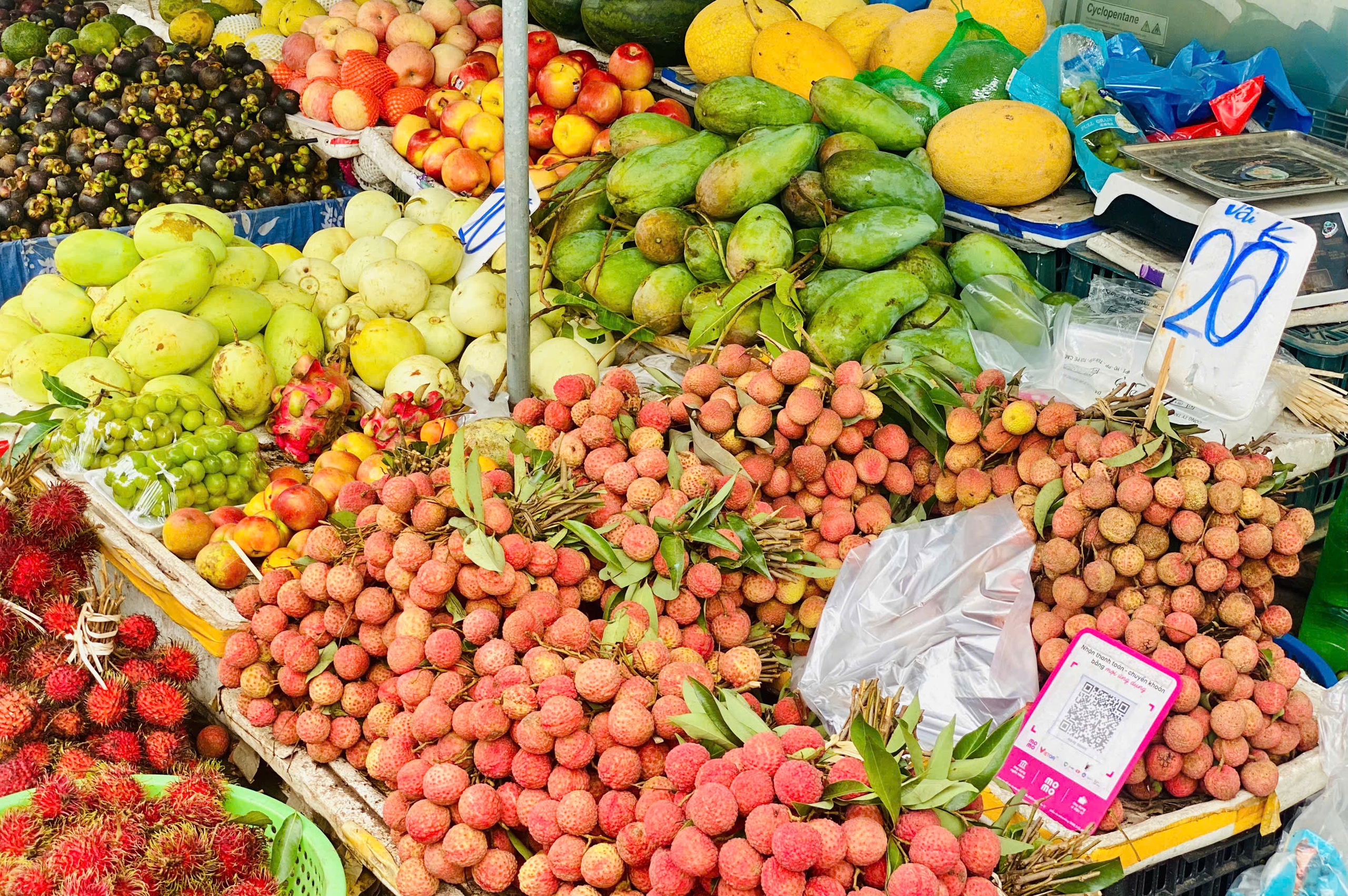 Loại quả đặc sản Việt đang vào mùa bán đầy chợ giá rẻ bèo, xuất nước ngoài lên tiền triệu/kg- Ảnh 6.