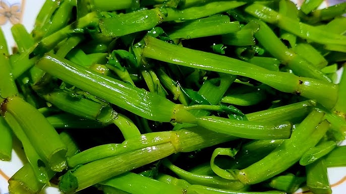 Loại rau mọc hoang lại là 'trợ thủ' thầm lặng giúp lợi mật, tiêu viêm, hỗ trợ ngừa ung thư gan - Ảnh 3. Loại rau mọc hoang lại là 'trợ thủ' thầm lặng giúp lợi mật, tiêu viêm, hỗ trợ ngừa ung thư gan - Ảnh 3.