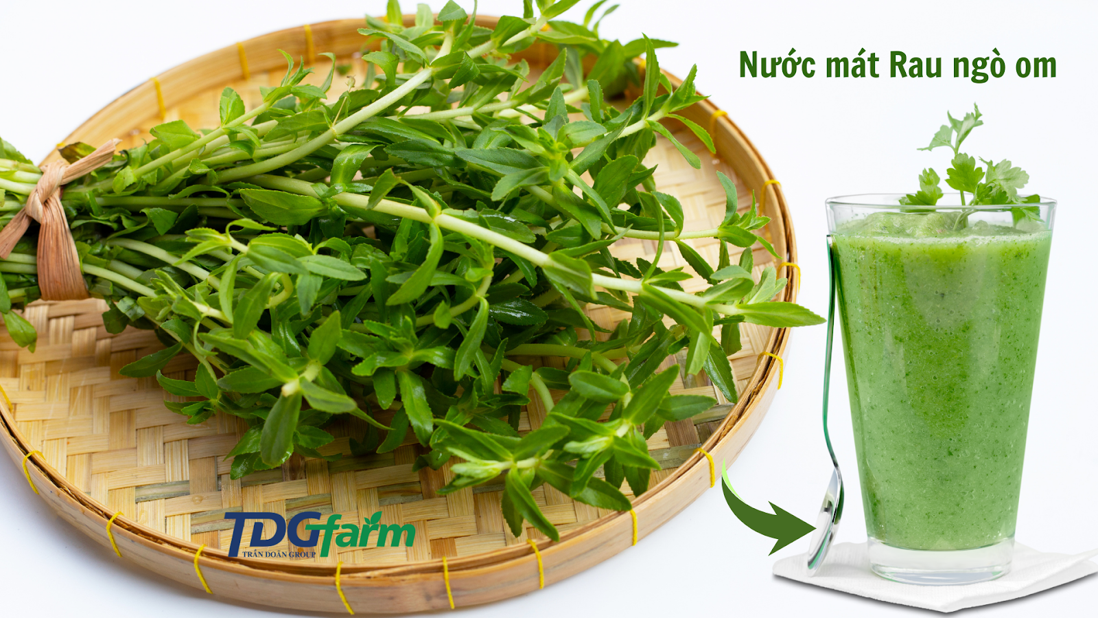 Loại rau mọc hoang lại là 'trợ thủ' thầm lặng giúp lợi mật, tiêu viêm, hỗ trợ ngừa ung thư gan - Ảnh 4. Loại rau mọc hoang lại là 'trợ thủ' thầm lặng giúp lợi mật, tiêu viêm, hỗ trợ ngừa ung thư gan - Ảnh 4.