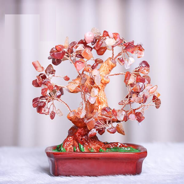 Cây tài lộc đá mã não đặt ở đâu trong nhà để thu hút tài lộc?- Ảnh 5. Cây tài lộc đá mã não đặt ở đâu trong nhà để thu hút tài lộc?- Ảnh 5.