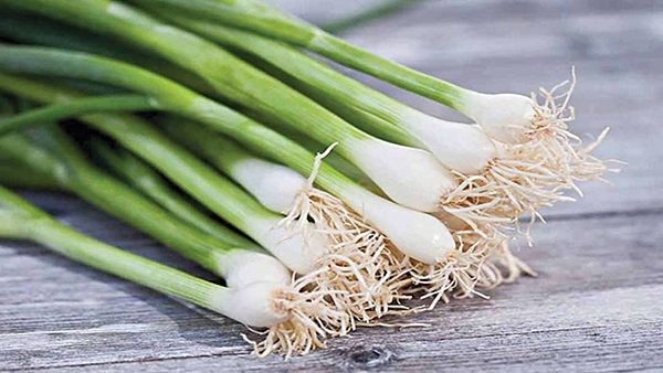 Gia vị 'quốc dân' có mặt trong hầu hết các món ăn Việt, lại là 'lá chắn' tự nhiên bảo vệ phổi và đường hô hấp- Ảnh 1. Gia vị 'quốc dân' có mặt trong hầu hết các món ăn Việt, lại là 'lá chắn' tự nhiên bảo vệ phổi và đường hô hấp- Ảnh 1.
