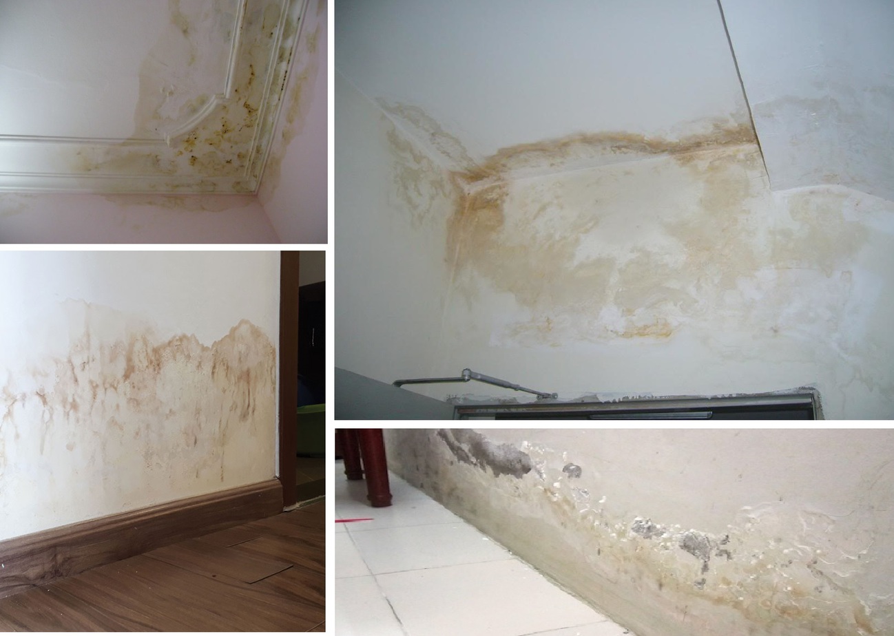 Cách khắc phục sơn tường bị ố vàng nhanh chóng và hiệu quả nhất tại nhà- Ảnh 3.