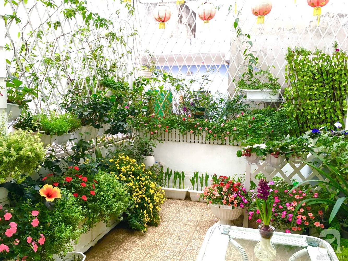 Cách cải tạo phong thủy nhà ở để tài lộc đong đầy, sự nghiệp thăng hoa - Ảnh 6.