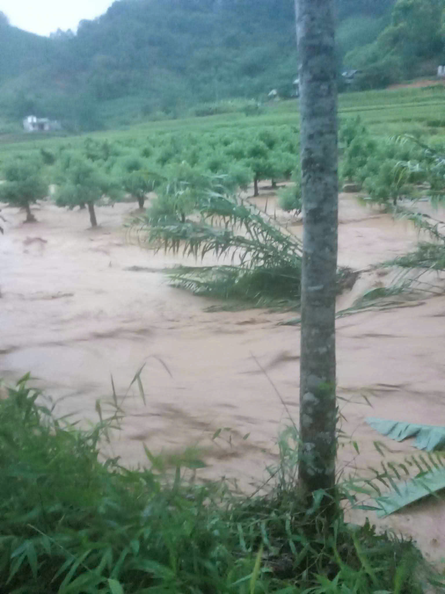 Hình ảnh hiện trường một số địa điểm sạt sở do mưa lớn kéo dài ở Bắc Kạn - Ảnh 10.