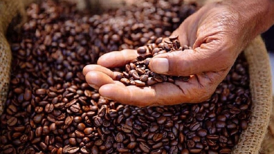 Giá cà phê hôm nay 21/6: Giá cà phê Arabica tăng nhẹ trở lại - Ảnh 2. Giá cà phê hôm nay 21/6: Giá cà phê Arabica tăng nhẹ trở lại - Ảnh 2.