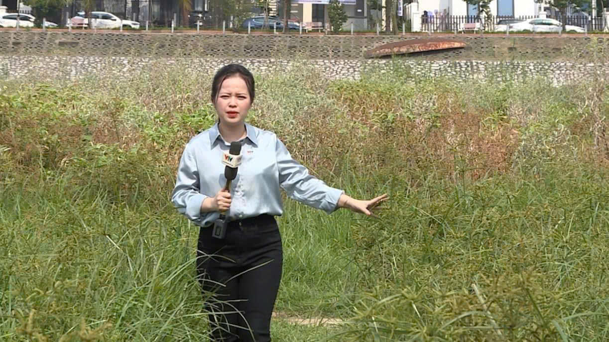 Phóng viên Thùy Dương: VTV cho tôi cơ hội được làm nghề đúng nghĩa- Ảnh 3. Phóng viên Thùy Dương: VTV cho tôi cơ hội được làm nghề đúng nghĩa- Ảnh 3.
