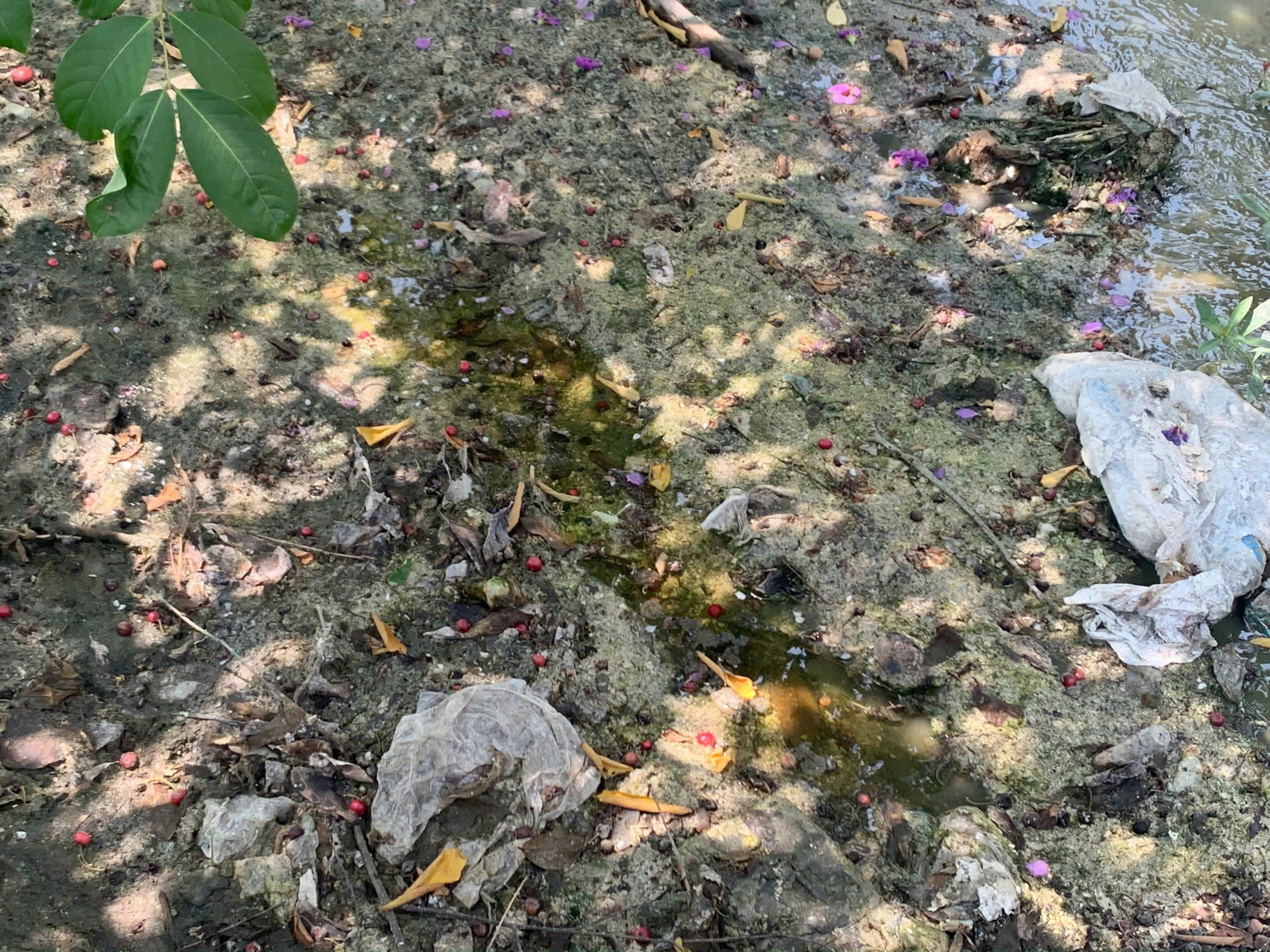 Lo ngại về sức khỏe người dân ở làng tái chế nhôm nổi tiếng tại Nam Định - Ảnh 9.