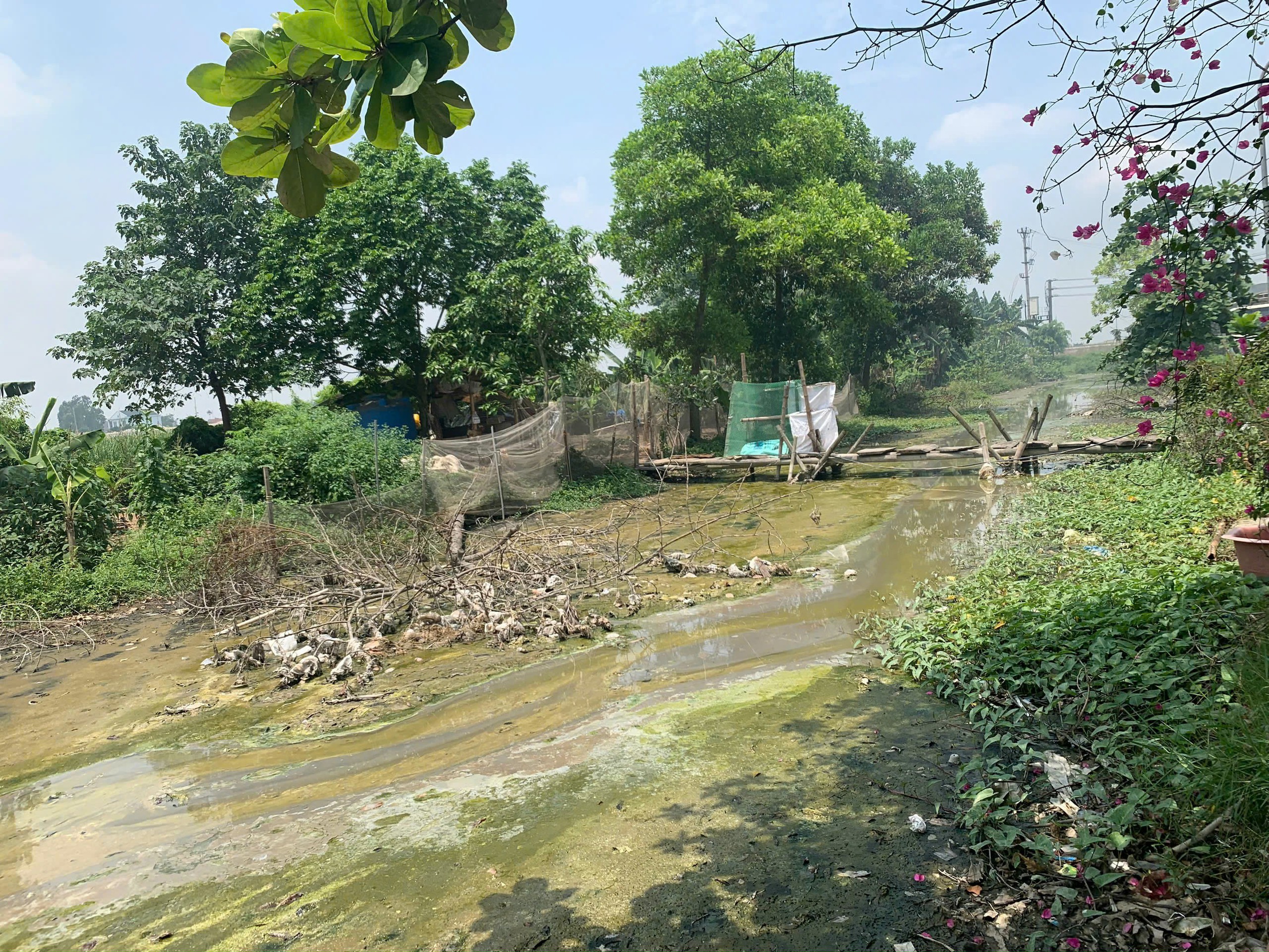 Lo ngại về sức khỏe người dân ở làng tái chế nhôm nổi tiếng tại Nam Định - Ảnh 4.