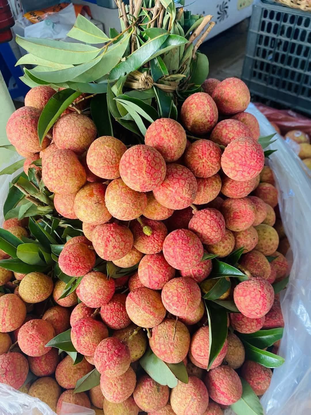 Olgunlaşmış liçiler 'bedava' fiyata satılıyor, kadınlar yaz günlerinde serinlemek için lezzetli ve eşsiz bir yemeğin nasıl yapılacağını anlatıyor - Fotoğraf 3. Quả vải chín rộ giá bán ‘rẻ như cho’, chị em mách nhau cách làm món ngon giải nhiệt lạ miệng ngày hè- Ảnh 3.