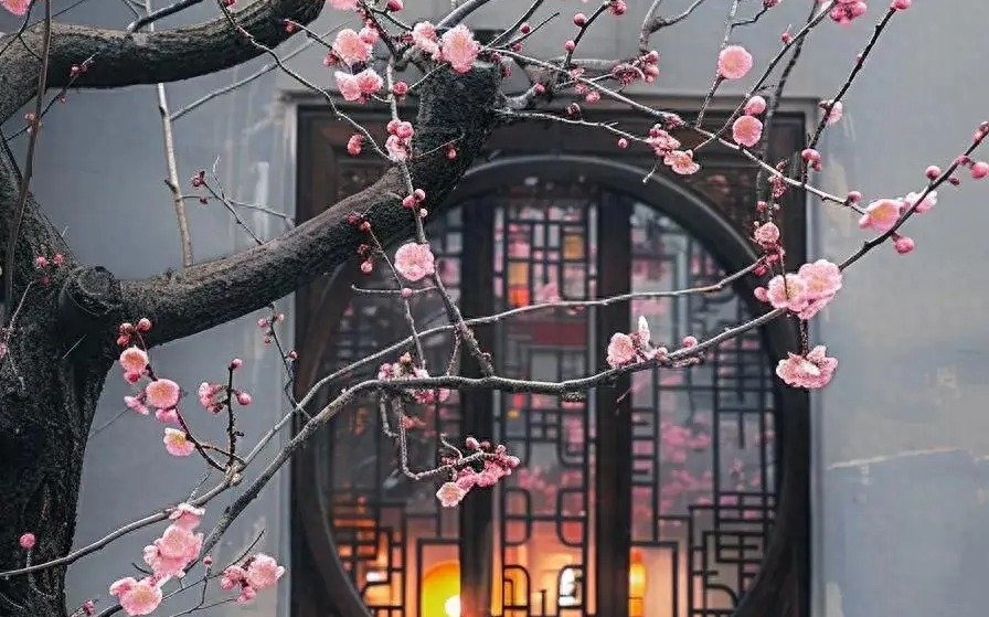 Ngày sinh Âm lịch của người không ngại khổ, nhờ đó mà có nhân sinh như ý