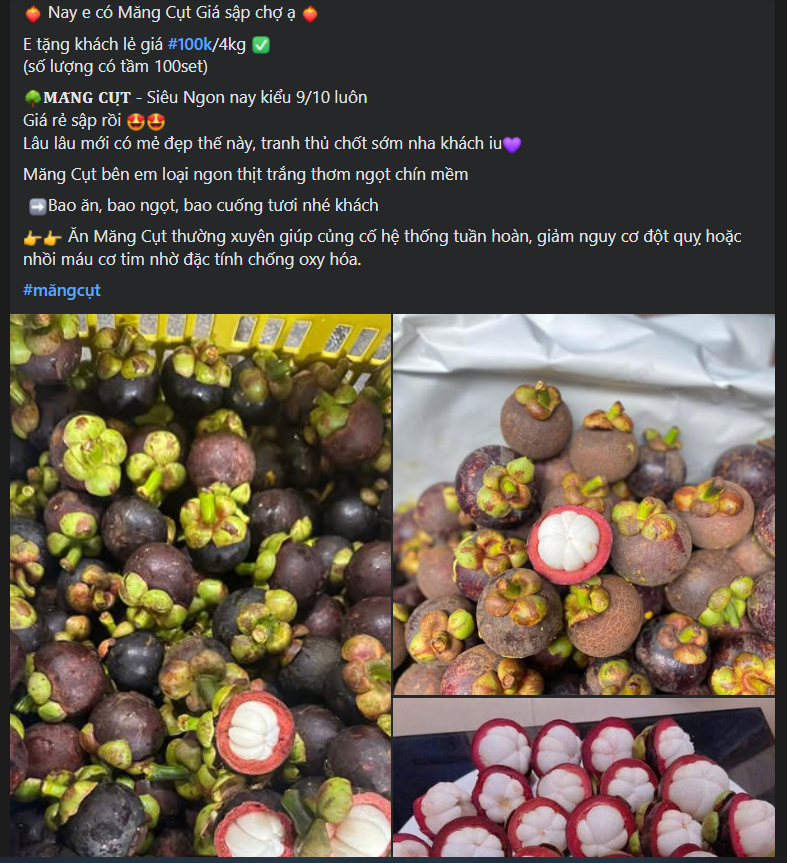 Măng cụt vào mùa bán ngập thị trường giá rẻ bèo, tiểu thương chia sẻ bí kíp chọn những quả tươi ngon - Ảnh 3.