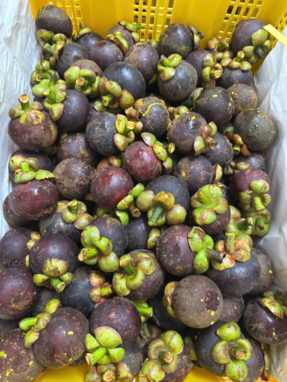 Măng cụt vào mùa bán ngập thị trường giá rẻ bèo, tiểu thương chia sẻ bí kíp chọn những quả tươi ngon - Ảnh 8.