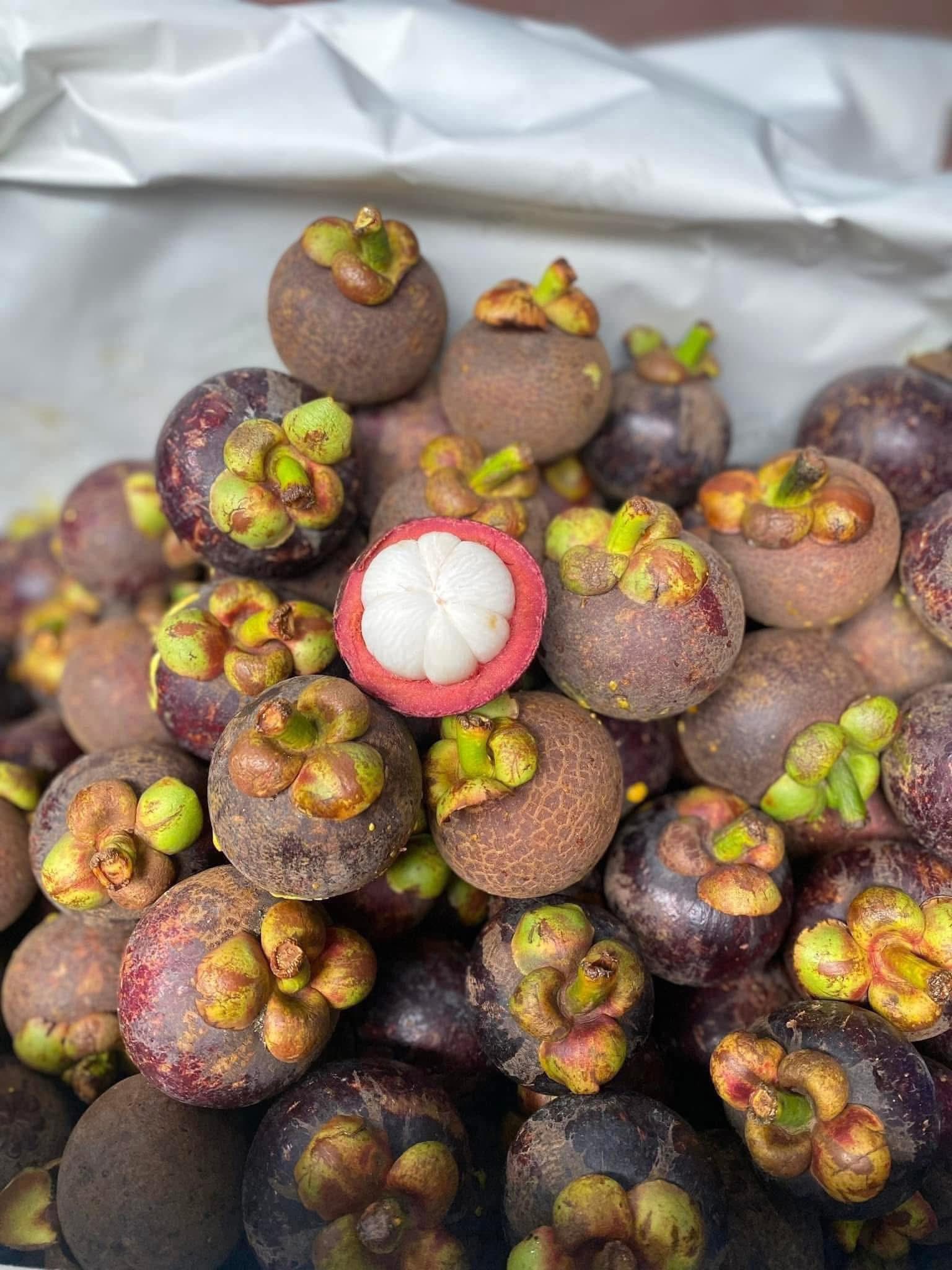 Măng cụt vào mùa bán ngập thị trường giá rẻ bèo, tiểu thương chia sẻ bí kíp chọn những quả tươi ngon - Ảnh 9.